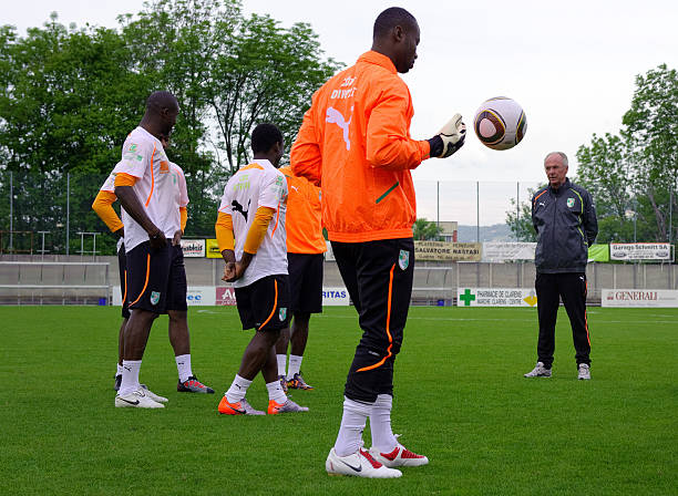 道速滑和花 道速滑和花